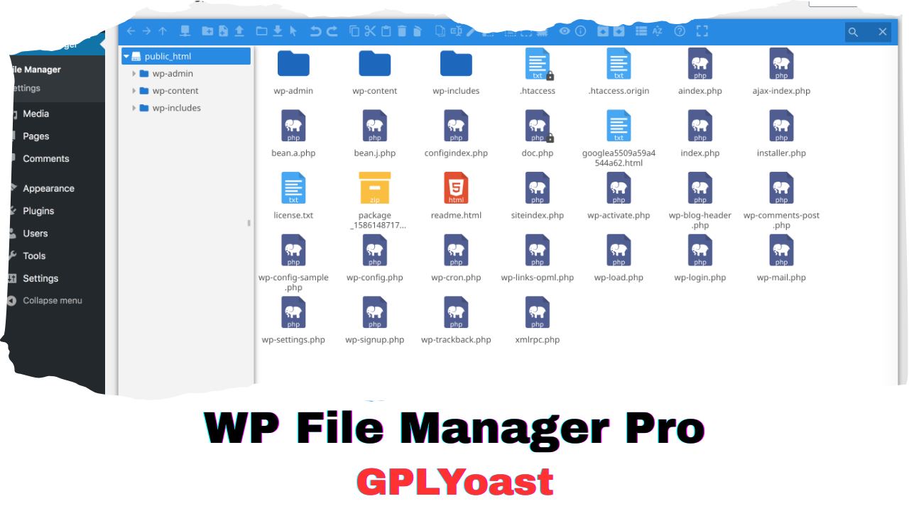 WP File Manager Pro