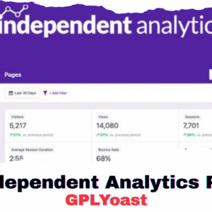 Independent Analytics Pro