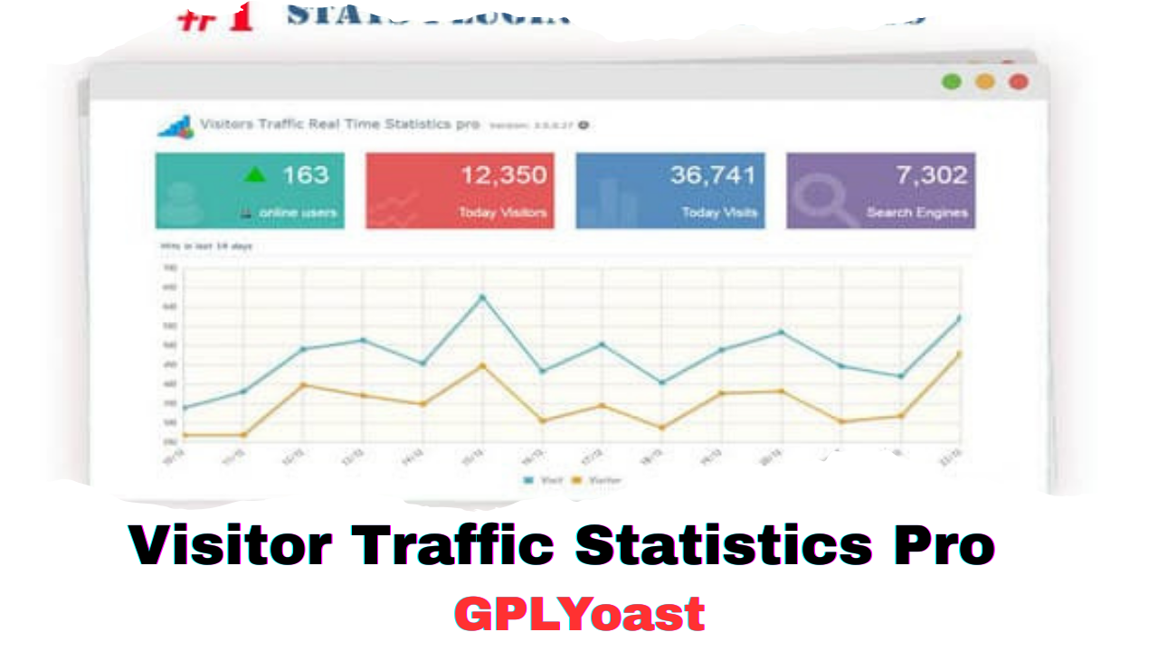 Visitor Traffic Real Time Statistics Pro