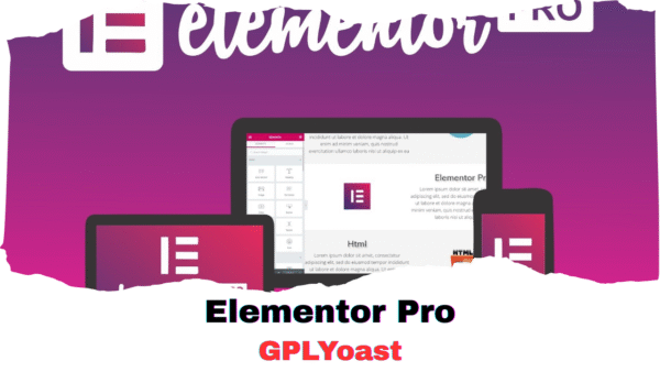 Elementor Pro