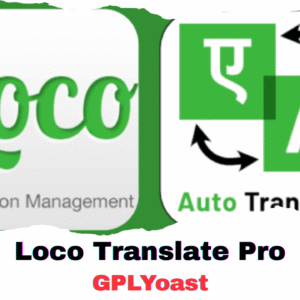 Loco Translate Pro