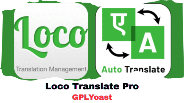 Loco Translate Pro