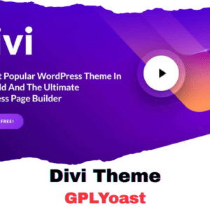 Divi Theme