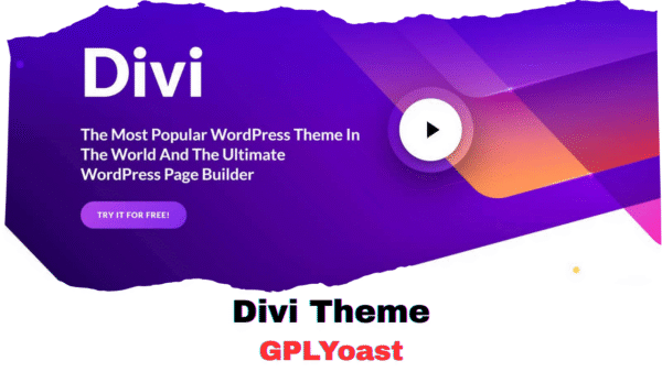 Divi Theme