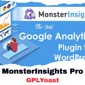 MonsterInsights Pro