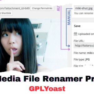 Media File Renamer Pro
