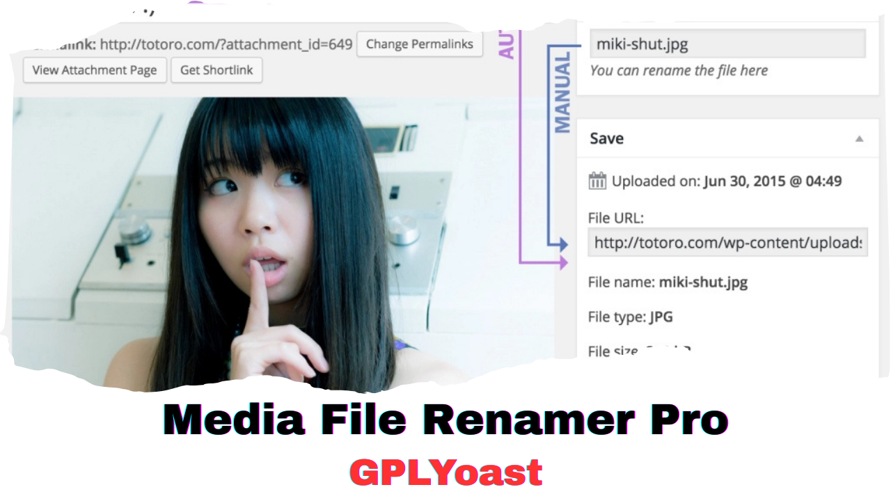 Media File Renamer Pro