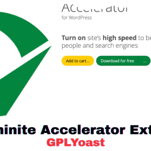 Seraphinite Accelerator Extended