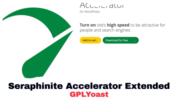 Seraphinite Accelerator Extended